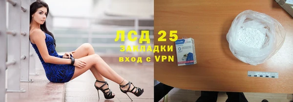 шишки Армянск