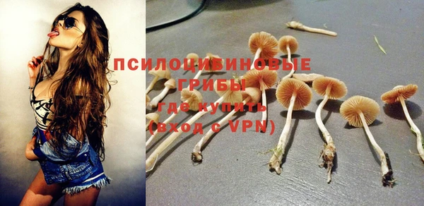 тгк Арсеньев