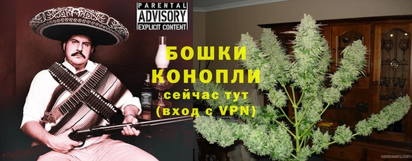 шишки Армянск