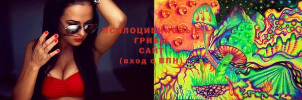 шишки Армянск