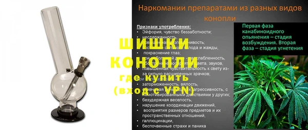 шишки Армянск